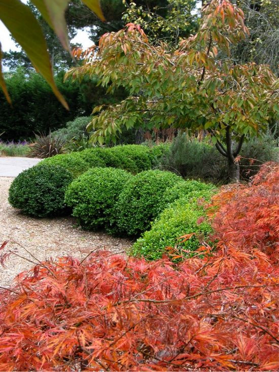 Arthur Lathouris Designer, Australian garden, Asiatic garden idea, eclectic garden idea